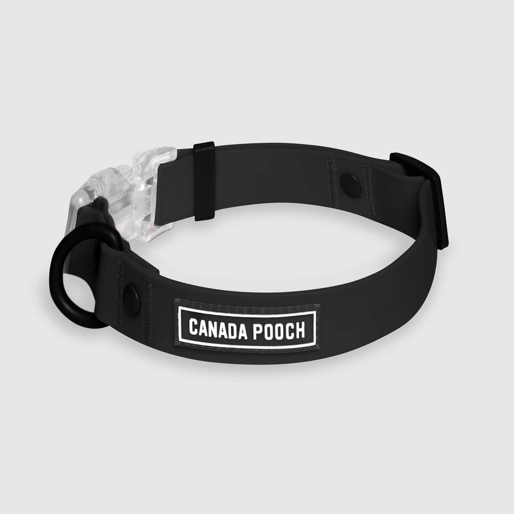 Waterproof Collar I6