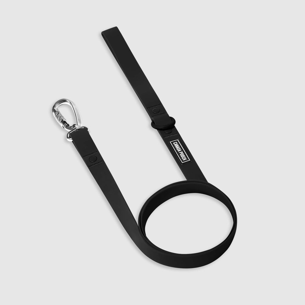 Waterproof Leash J3